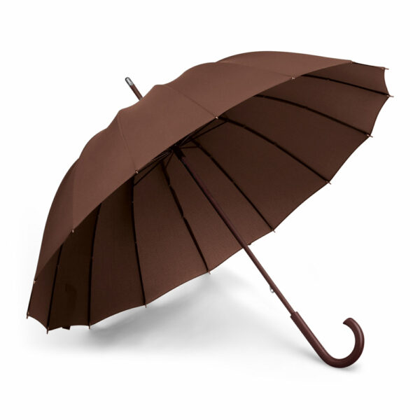 Parapluie manche bois